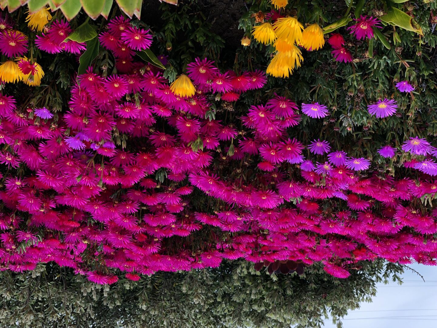 Image de l'actualité TEst