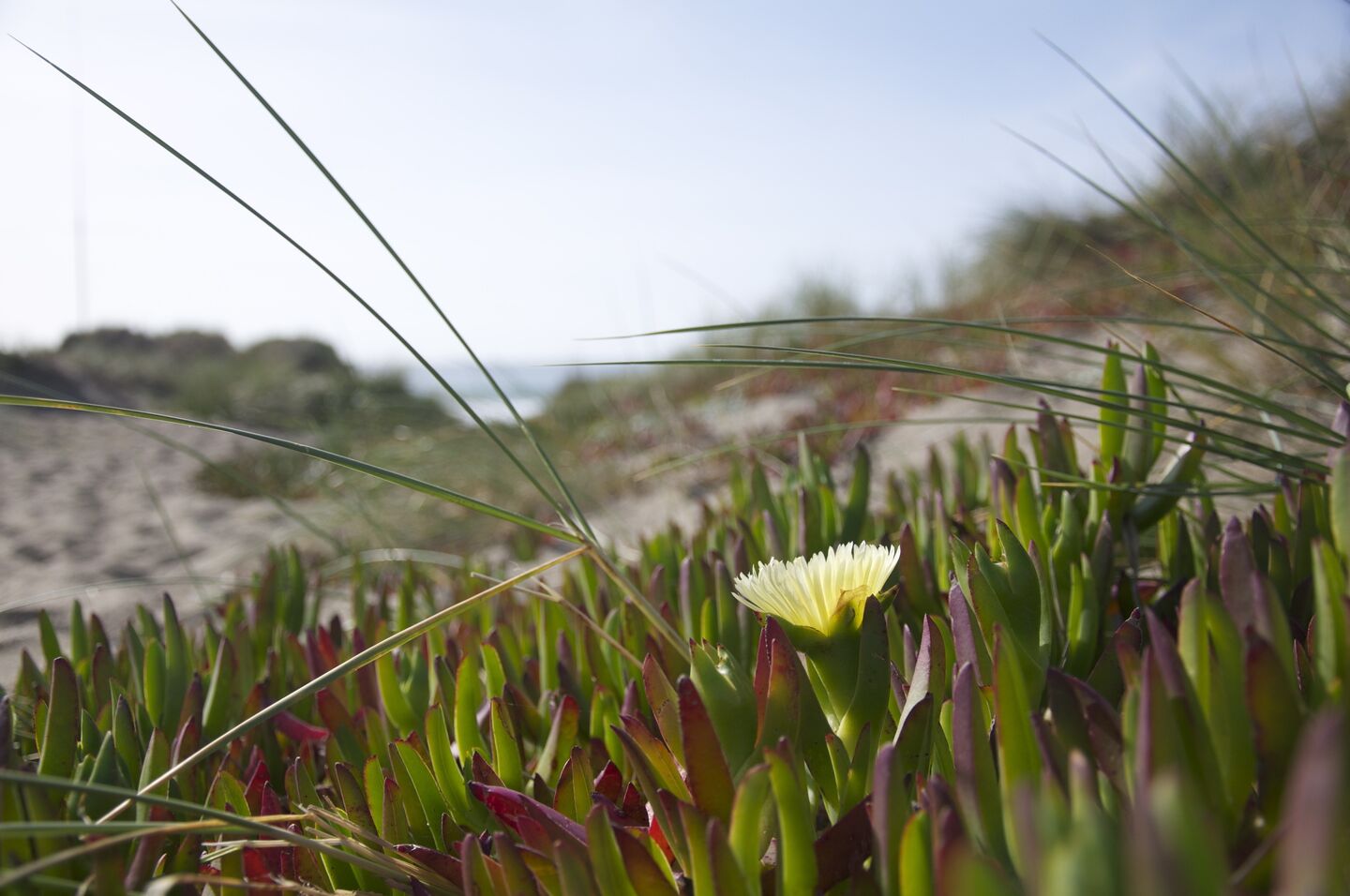 Image de l'actualité sss